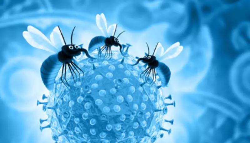 Zika Virus Uncovered: From Symptoms to Prevention, Everything You Need to Know