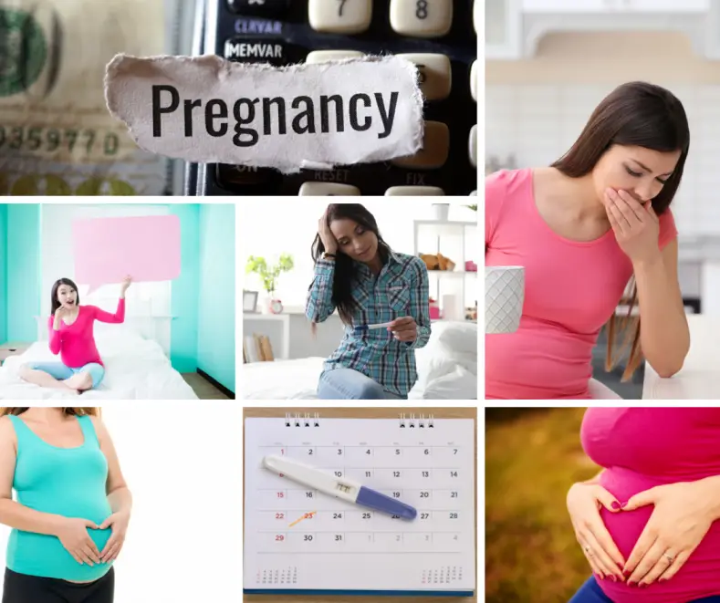 What are the most common early signs and symptoms of pregnancy?