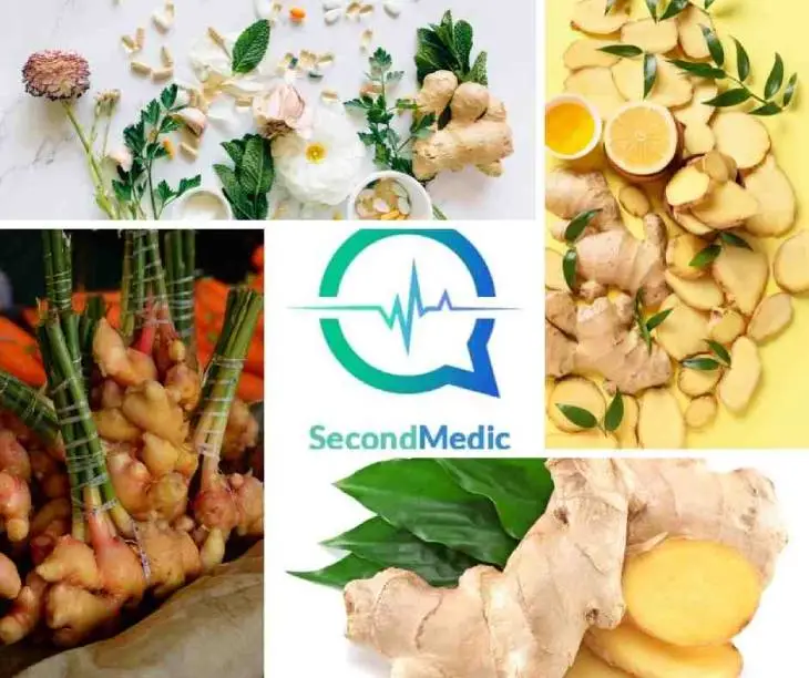 Benefits of Ginger