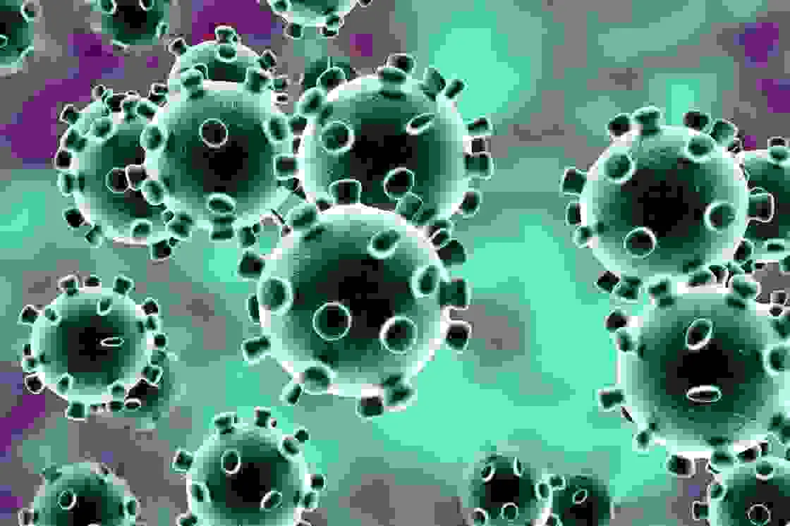 Second Medic Health Care Update : Corona virus