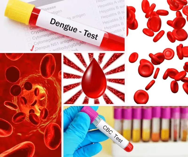 How to increase platelet count?
