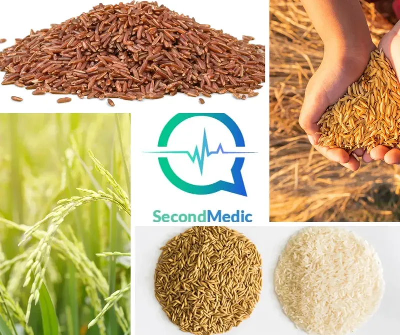 Let's Talk White Rice vs. Brown Rice: Which is Better?