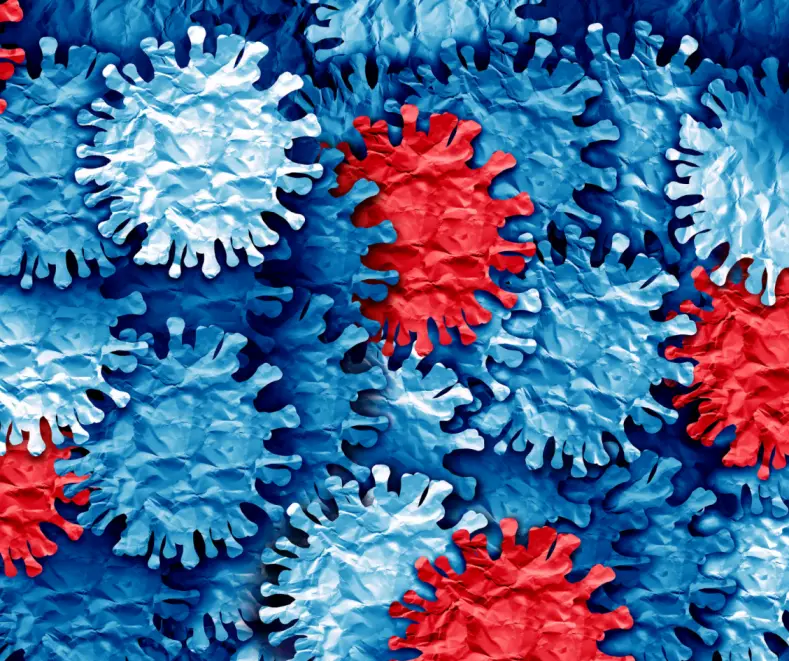 The Most Efficient and fastest-spreading Virus