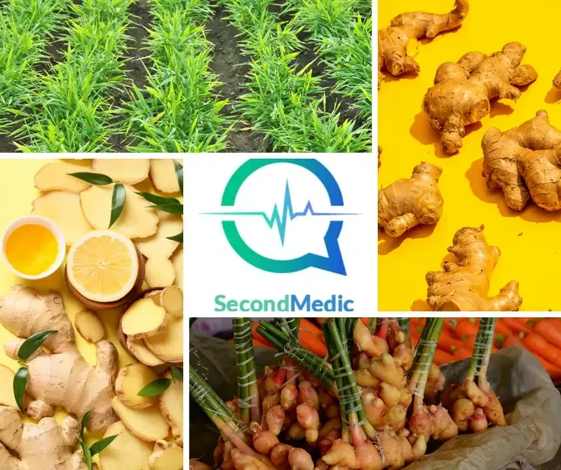 Health Benefits of Ginger