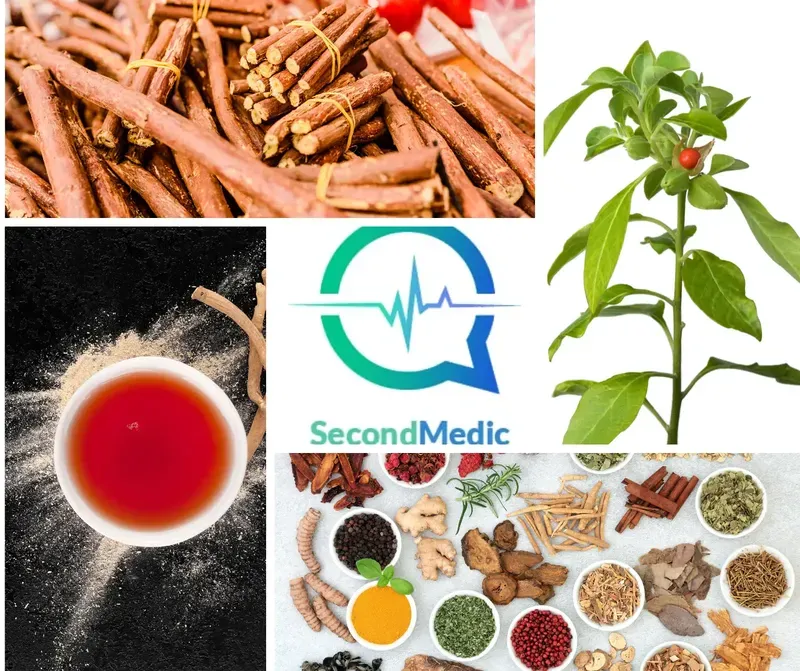 Proven Health Benefits of Ashwagandha
