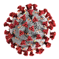 image for Covid Essentials category