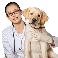 image for Pet Care category