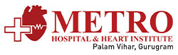 Metro Hospital and Heart Institute