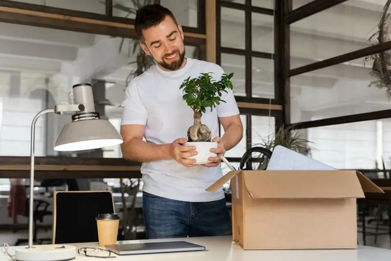 Desk Plants Distribution Drive: Improving Mental Health and Workplace decor