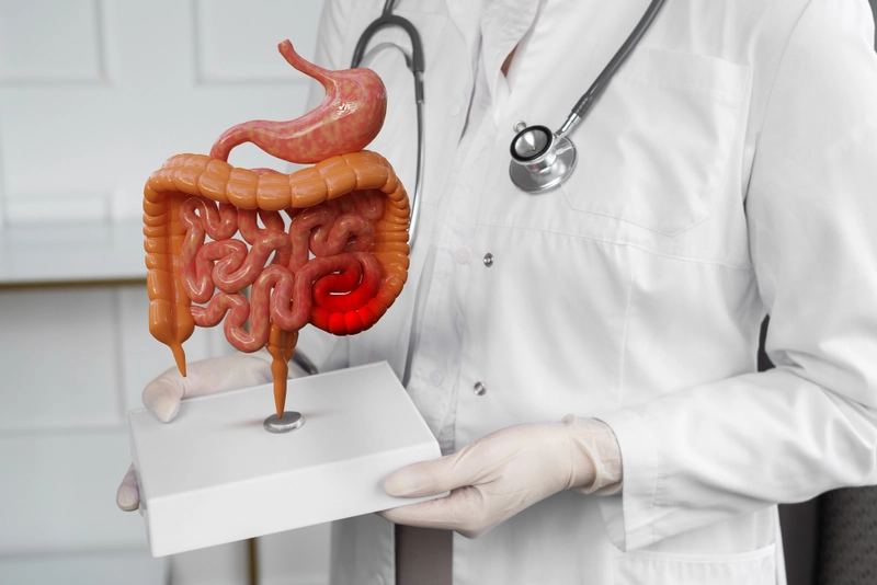 Gastrointestinal Infections in Humid Weather: Causes, Symptoms, and Prevention