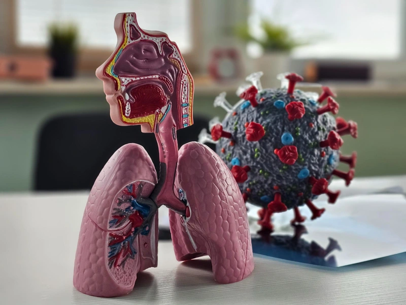Human Metapneumovirus (HMPV): Treatment & Symptoms 