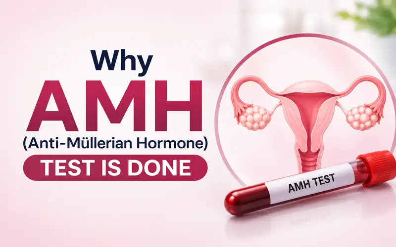 Why AMH (Anti-Müllerian Hormone) Test Is Done