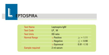 LEPTOSPIRA RAPID TEST (IGG/IGM)