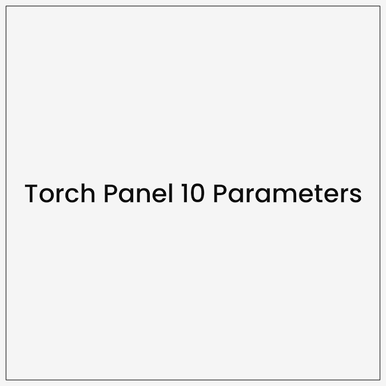 TORCH ALL TEN PROFILE