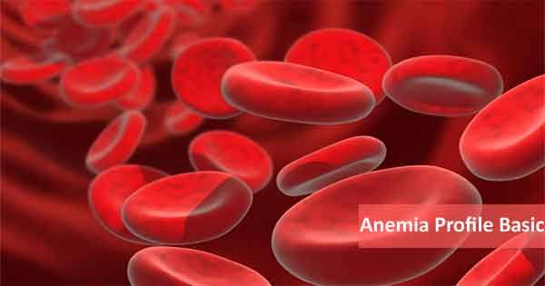 JAANCH ANEMIA PROFILE ADVANCED