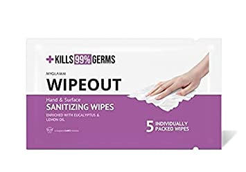WIPEOUT SANITIZING WIPES 5 PCS