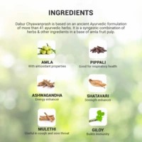 Dabur Chyawanprash Health Food Jar Of 1 Kg