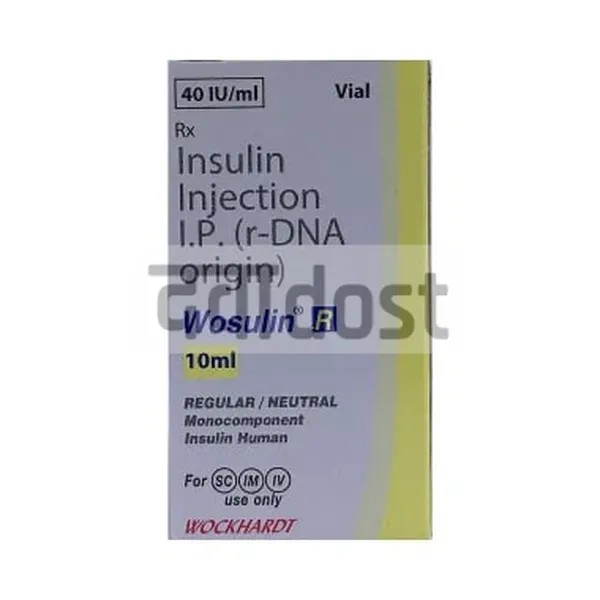Wosulin-R 40IU/ml Injection