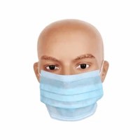 3 Ply Mask Packet Of 25