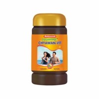 Baidyanath Sugarfree Chyawan Vit Health Food Jar Of 1 Kg