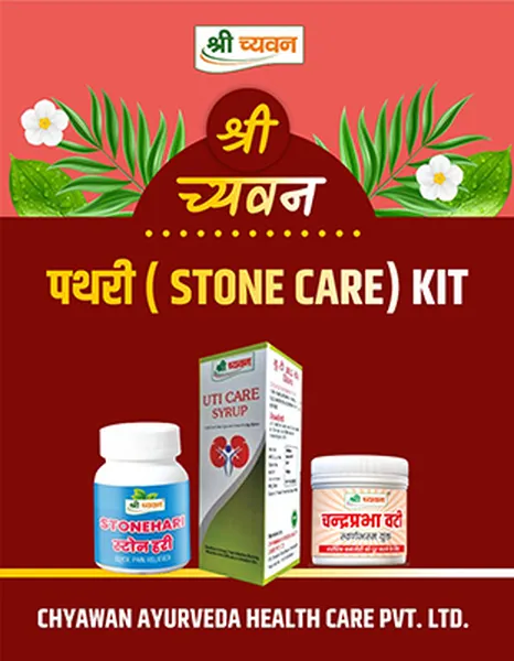 STONE CARE KIT