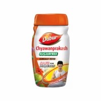 Dabur Sugar Free Chyawan 500gm