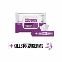 Wipeout Sanitizing Wipes - 25 Wipes