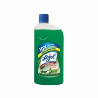 Lizol Jasmine Disinfectant Floor Cleaner Bottle Of 975 Ml