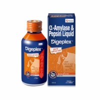 Digeplex Original Digestion Liquid Sugar Free 100ml