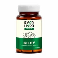 Everherb Giloy (Guduchi) 500mg - Maintains Resipiratory Health - Bottle Of 60