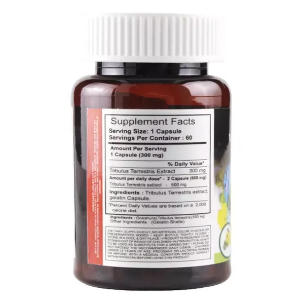 Venlor XR 75mg Capsule 10s