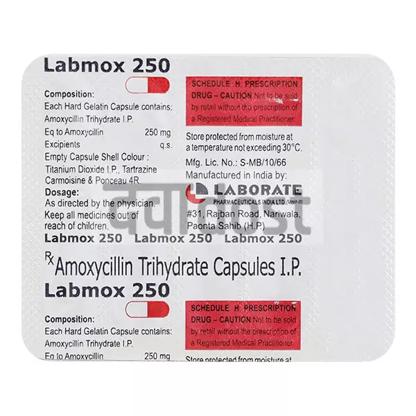 Labmox 250mg Capsule