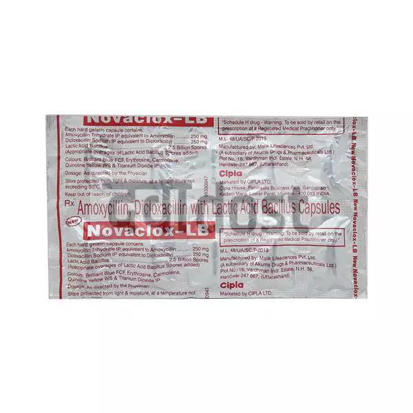 Novaclox LB 250mg/250mg Capsule