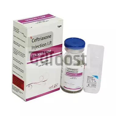 Leadcef 1gm Injection