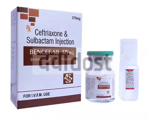 Bencef-SB 375 Injection
