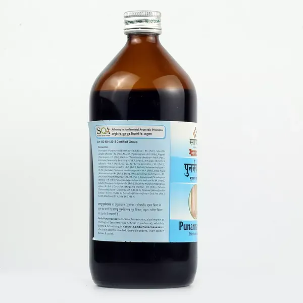 PUNARNAVASAV SANDU 450ML