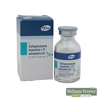 MAGNAMYCIN 1GM INJ VIAL