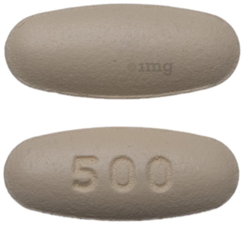Levroxa 500mg Tablet