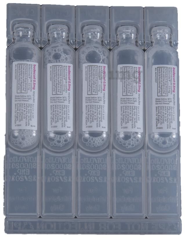 Budecort 0.5mg Respules (2ml Each)