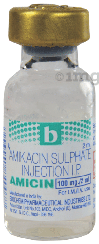 Amicin 100mg Injection