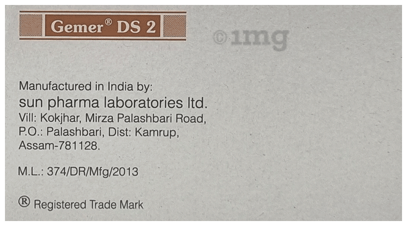 Gemer DS 2 Tablet PR