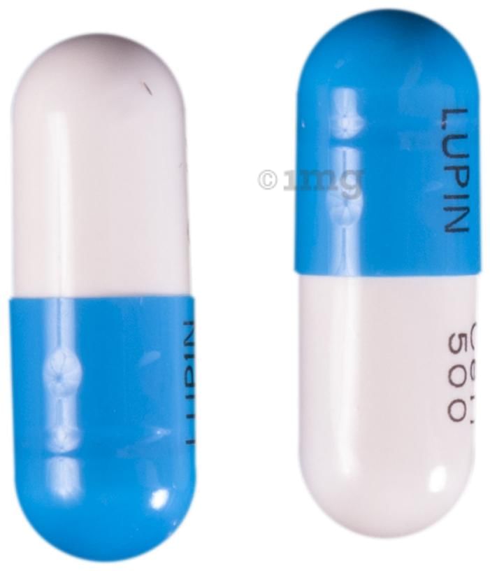 Ceff 500 Capsule