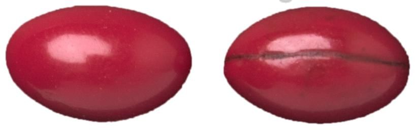 Fol 123 Soft Gelatin Capsule