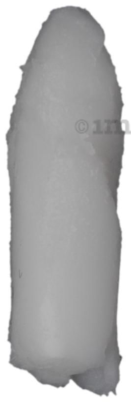 Gerbisa Children Suppository