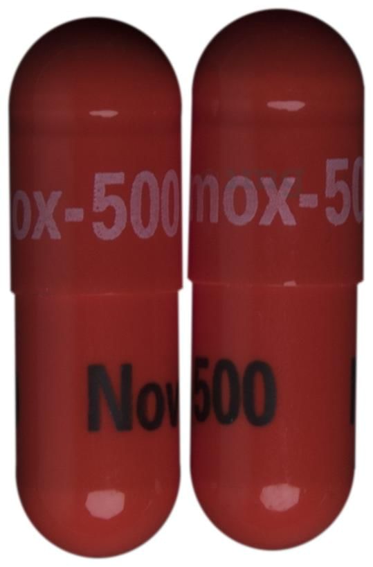 Novamox 500 Capsule