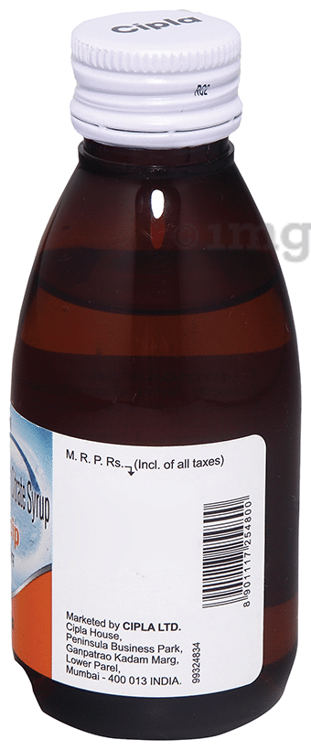 Alkacip Syrup 100ml for Kidney &amp; Gout Stone