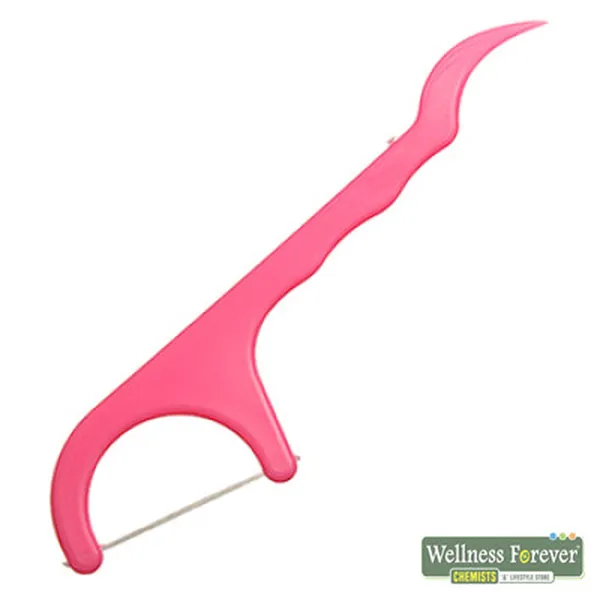 DENTAL CARE FLOSS PICKS - 25 COUNT