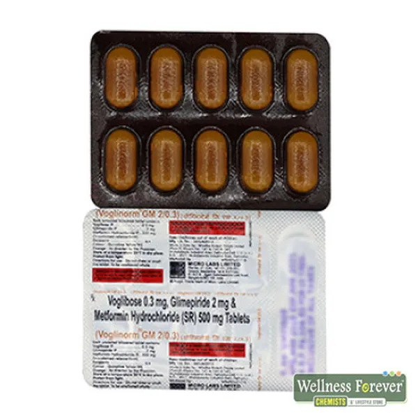 VOGLINORM GM 2-0.3 10TAB