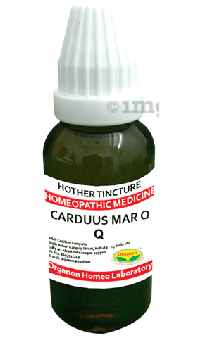 Organon Carduus Mar Mother Tincture Q