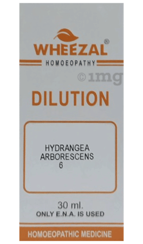 Wheezal Hydrangea Arb Dilution 6